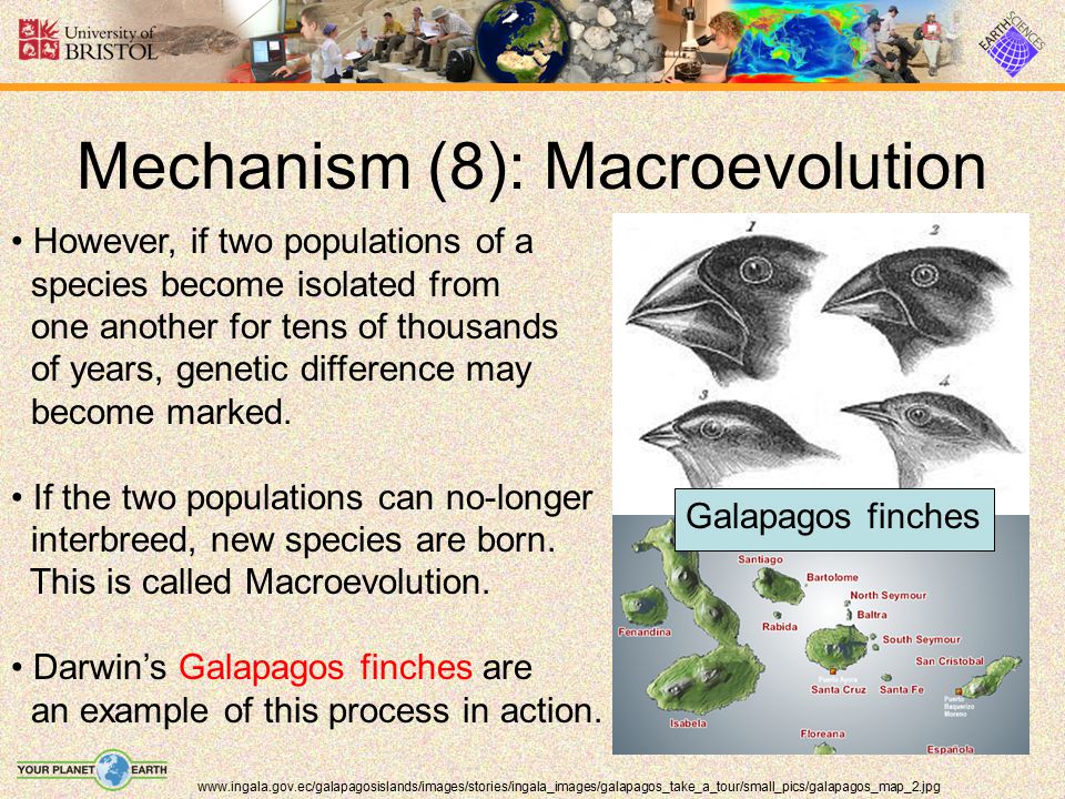 The importance of mechanisms for the evolution of cooperation